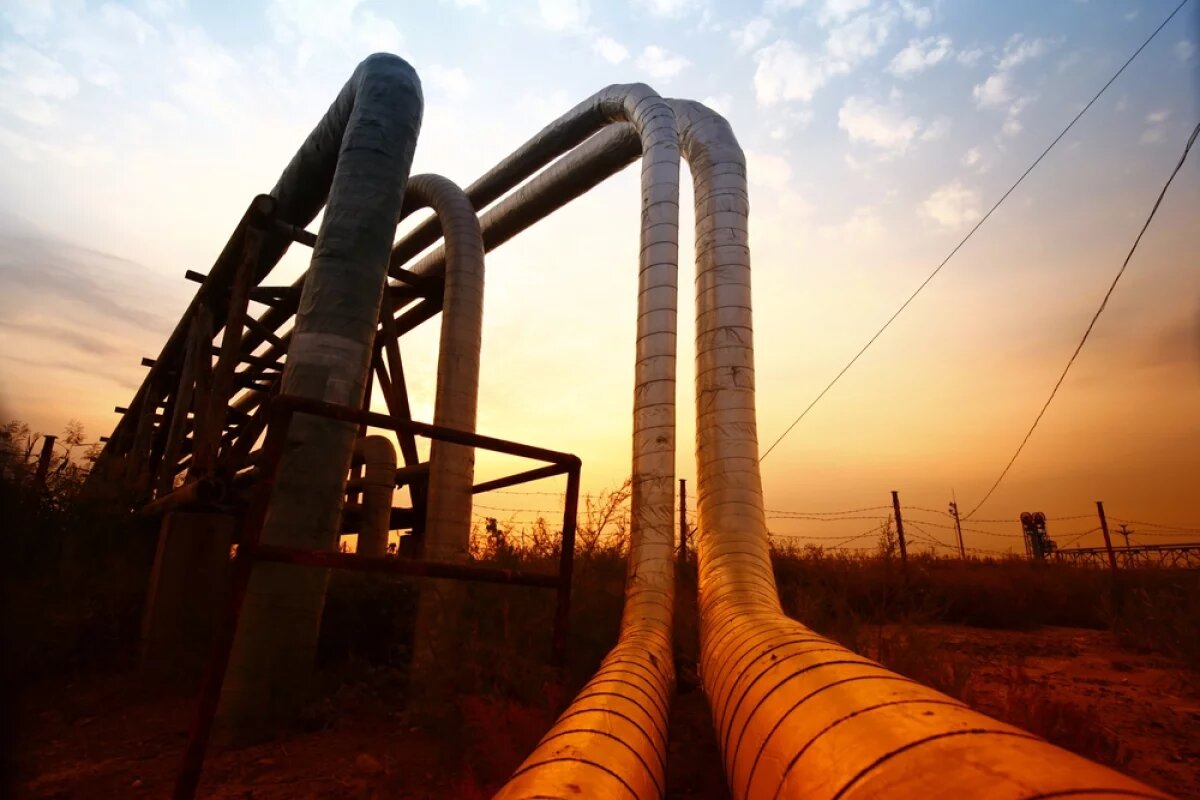    Подарок под российскую елку.