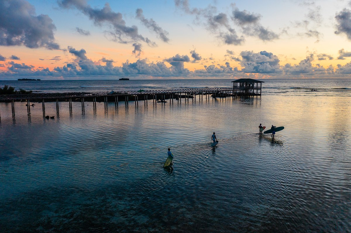 Фото: Matteo Colombo / Getty Images