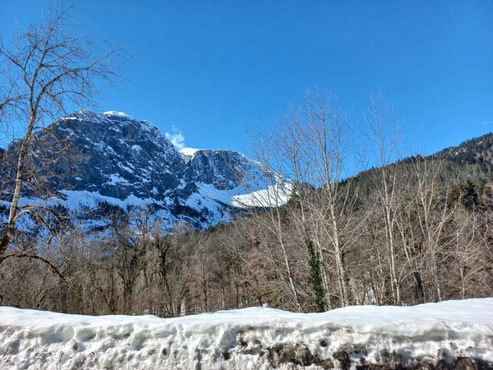   Абхазия. Источник: Олеся Веселкова/"Толк"