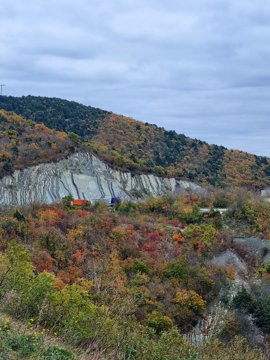 Новороссийск. Цемесская бухта. Фото автора статьи.