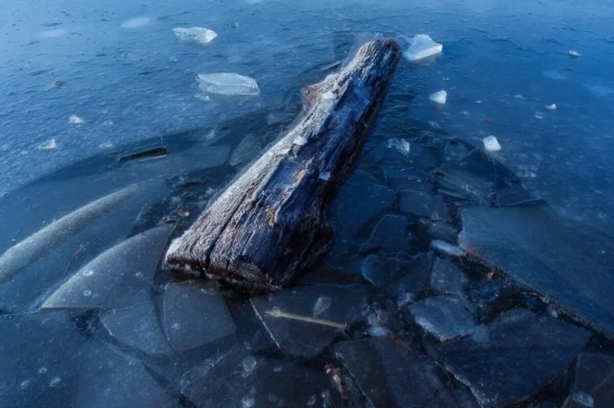    В Ярославле тренер спас школьника, провалившегося под лед