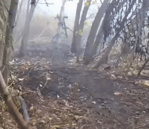    Украинский миномётчик показывает реальное качество миномётных выстрелов. Источник: ТГ-канал "Военный Осведомитель"