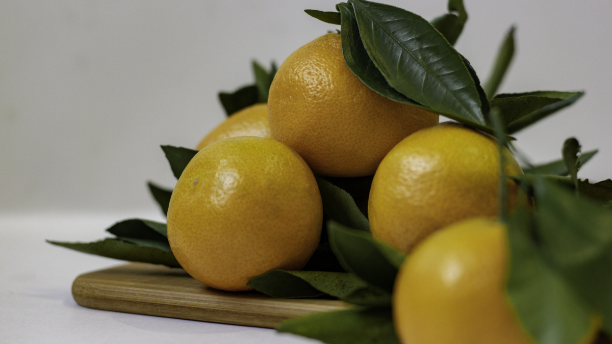 ООО «СДК»📷
