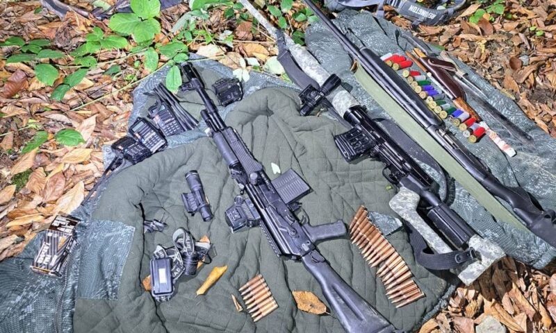    Фото пресс-службы Сочинского национального парка