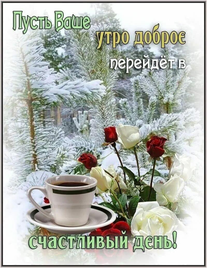 Фото из сети Интернет