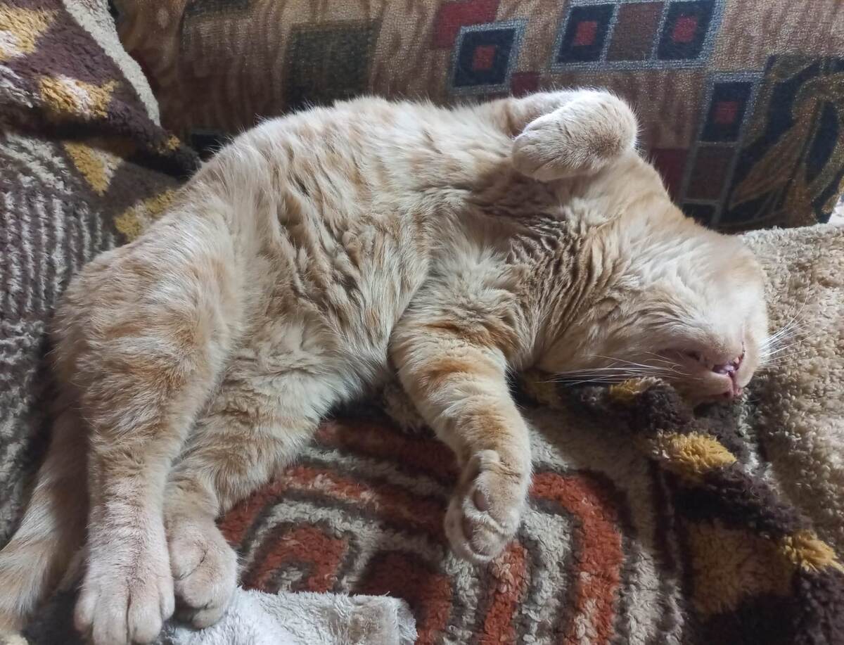 Фото автора