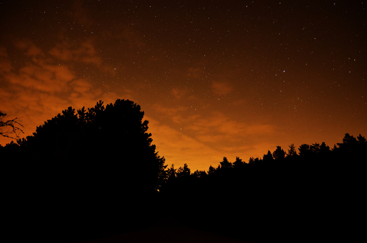 Фото: pxhere.com