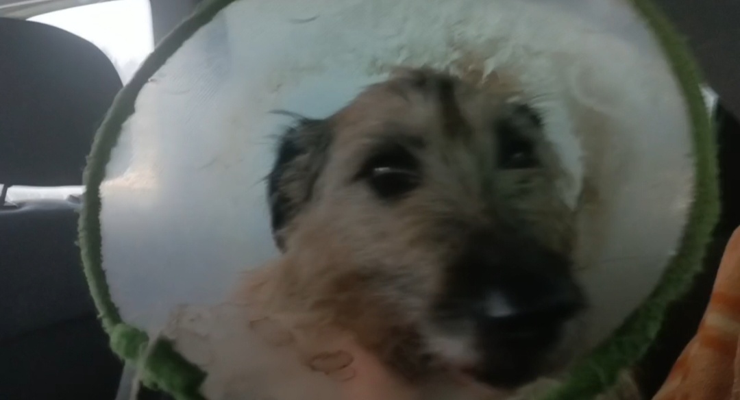 Перенесла поездку легко. 