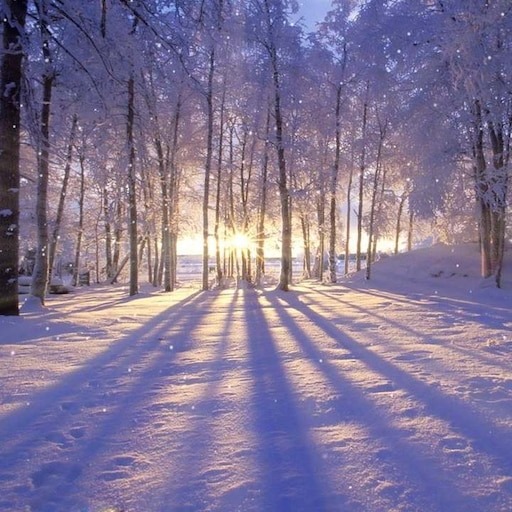 Фото с интернета