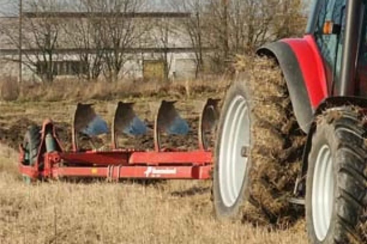    Собственника турбазы в районе Карелии могут обязать освободить территорию