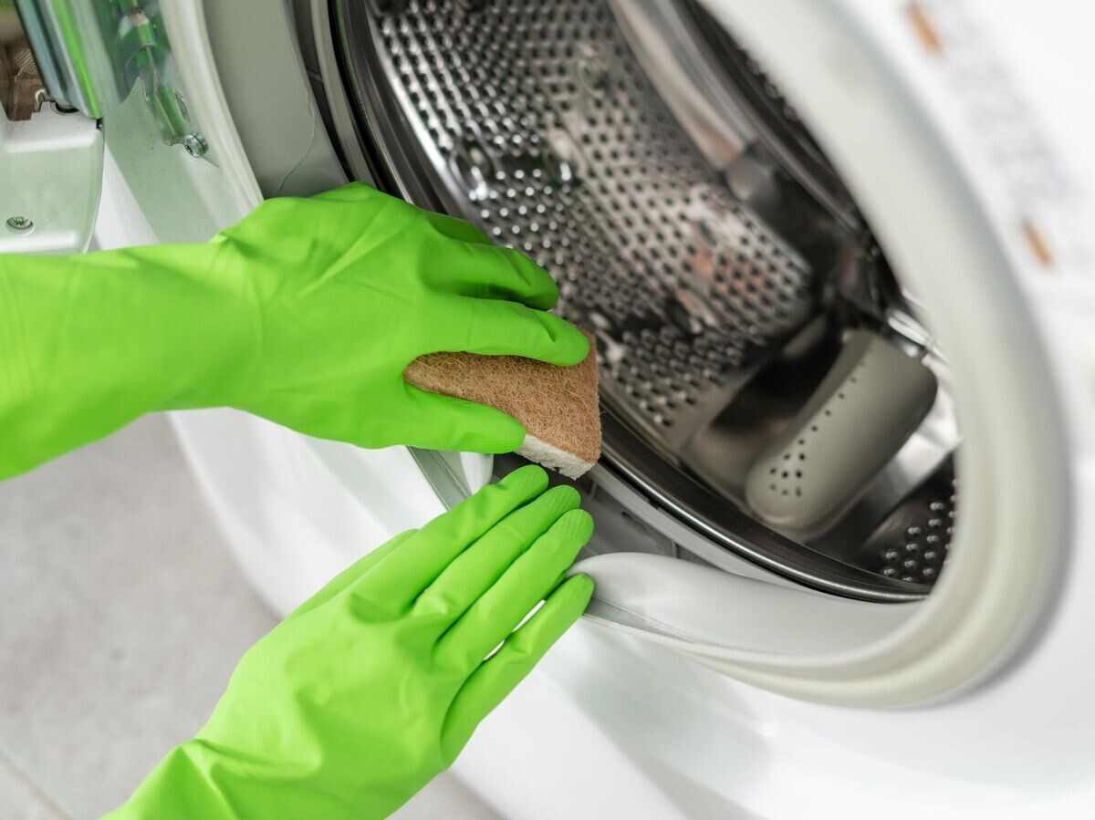    Уборка плесени в стиральной машине© iStock.com / brizmaker