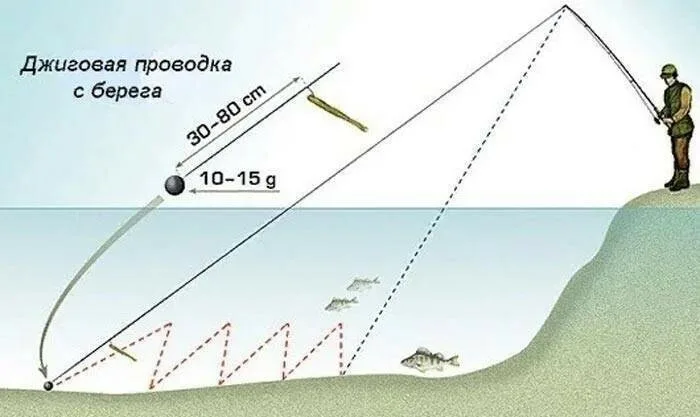 фото с сайта: https://avatars.mds.yandex.net