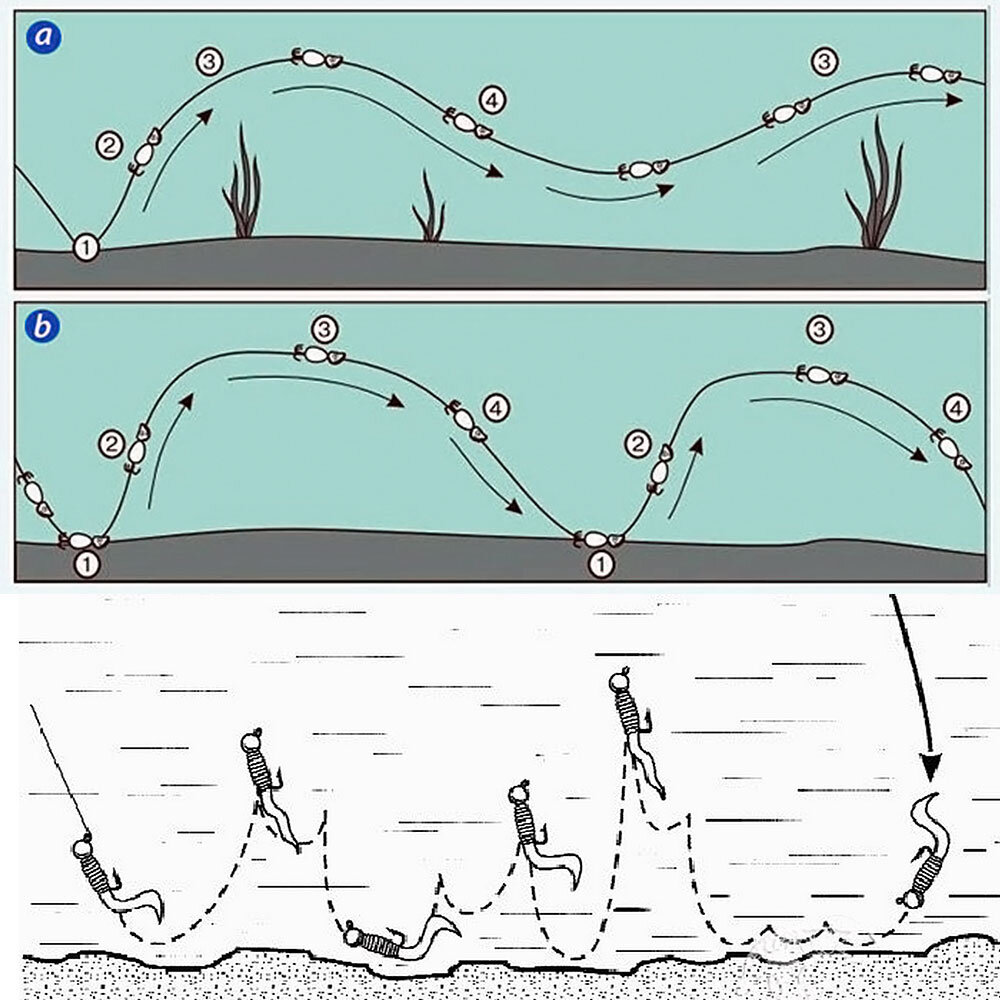 Фото с сайта: https://avatars.dzeninfra.ru