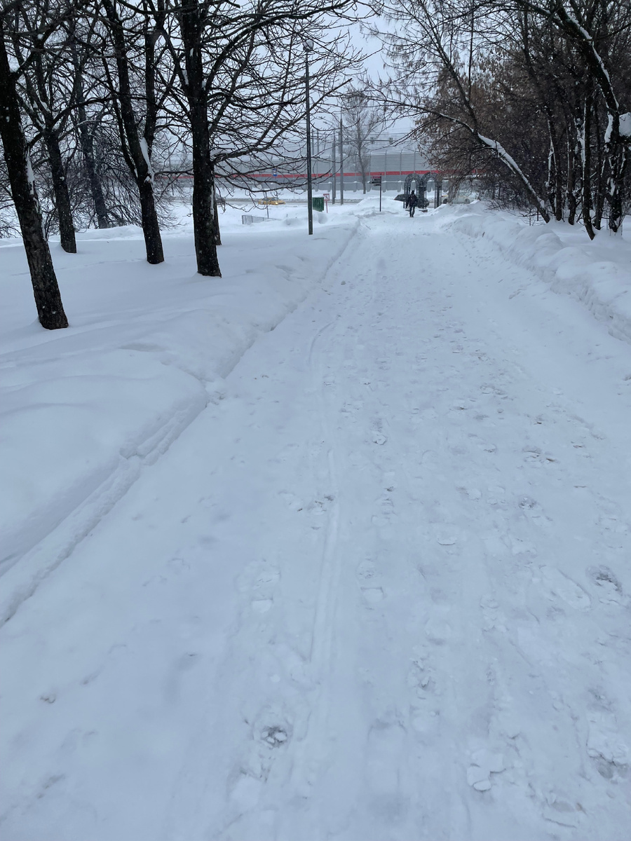 Это прошлый декабрь. С солнышком было бы намного лучше, правда?