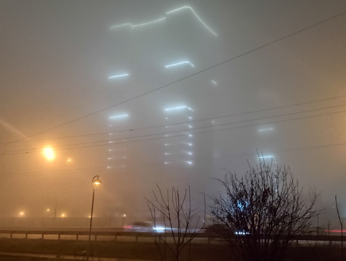 Видите Огурцы? Нет? А они есть