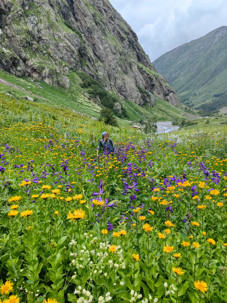 Ущелье Птыш. Домбай, КЧР. Райский рай.. Хочется лечь в это душистое разнотравье, ощущать, дышать...