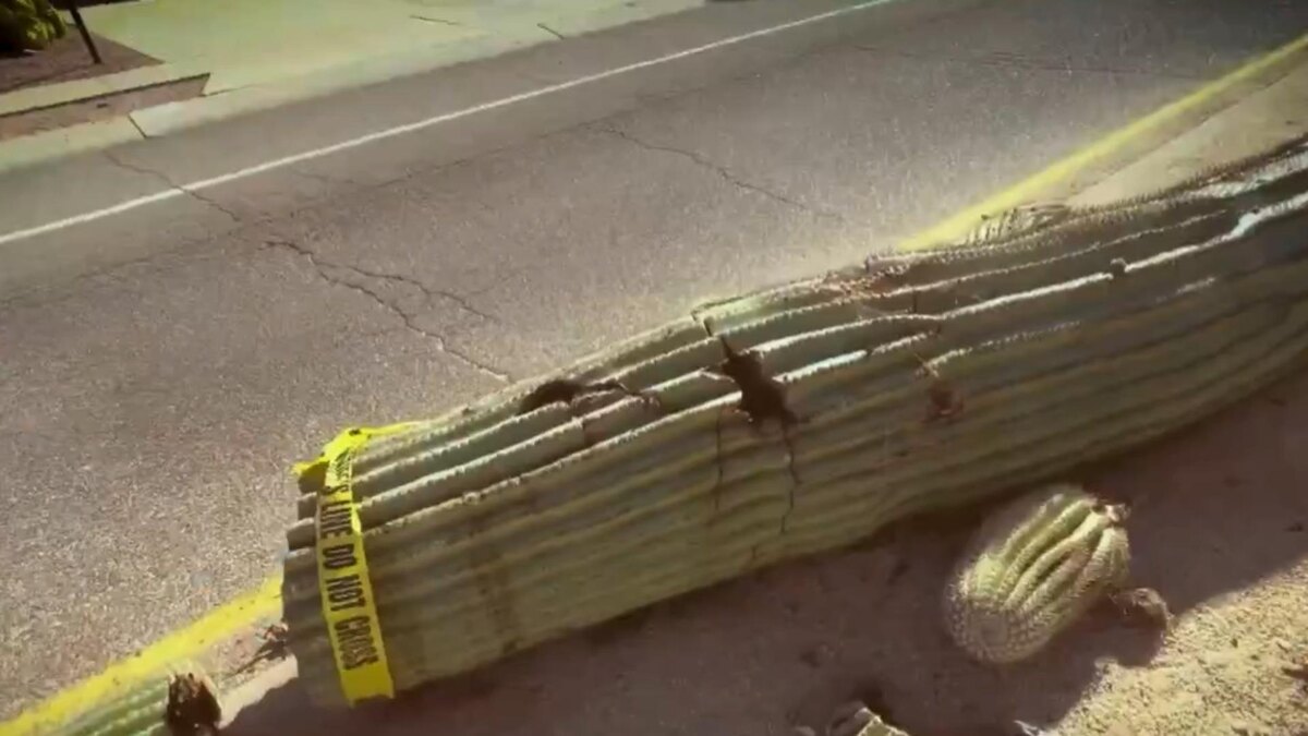 Автоор: В. Панченко