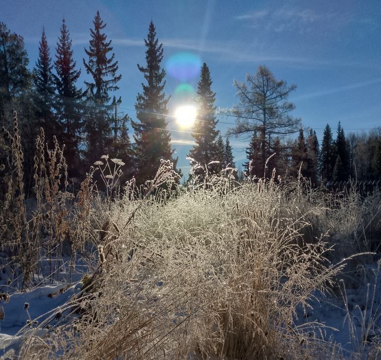 Фото моей подписчицы Татьяны.
