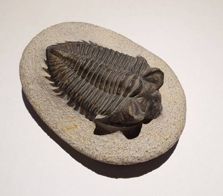 Из личной коллекции О.Мороз