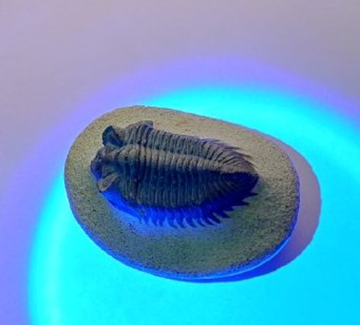 Проверку прошел