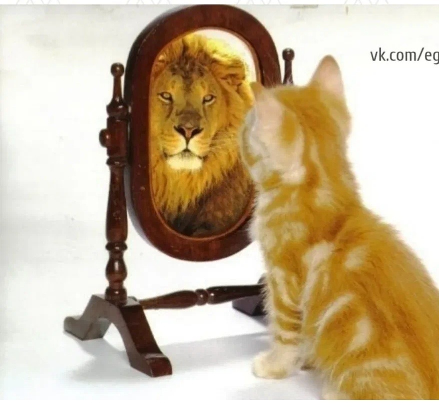 Яндекс картинки 