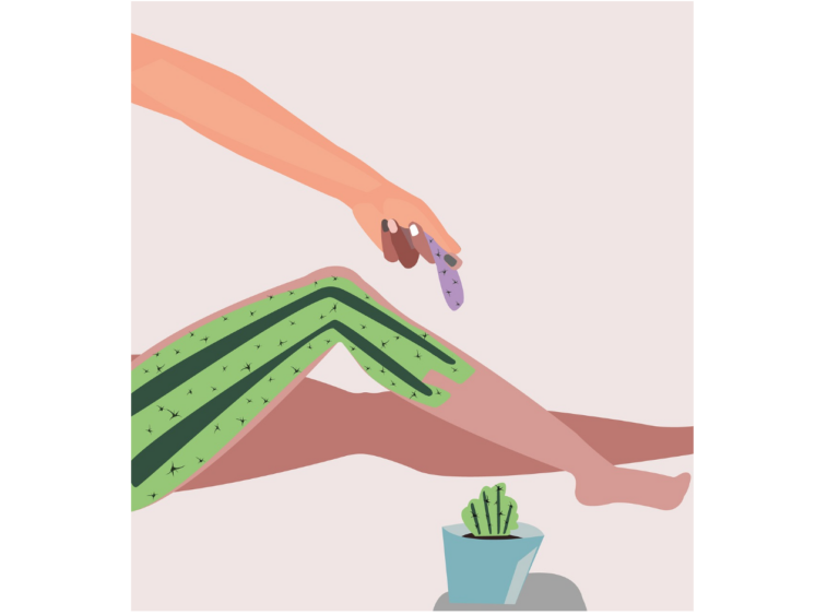    Изображение: corn karma by Pixabay Pudra