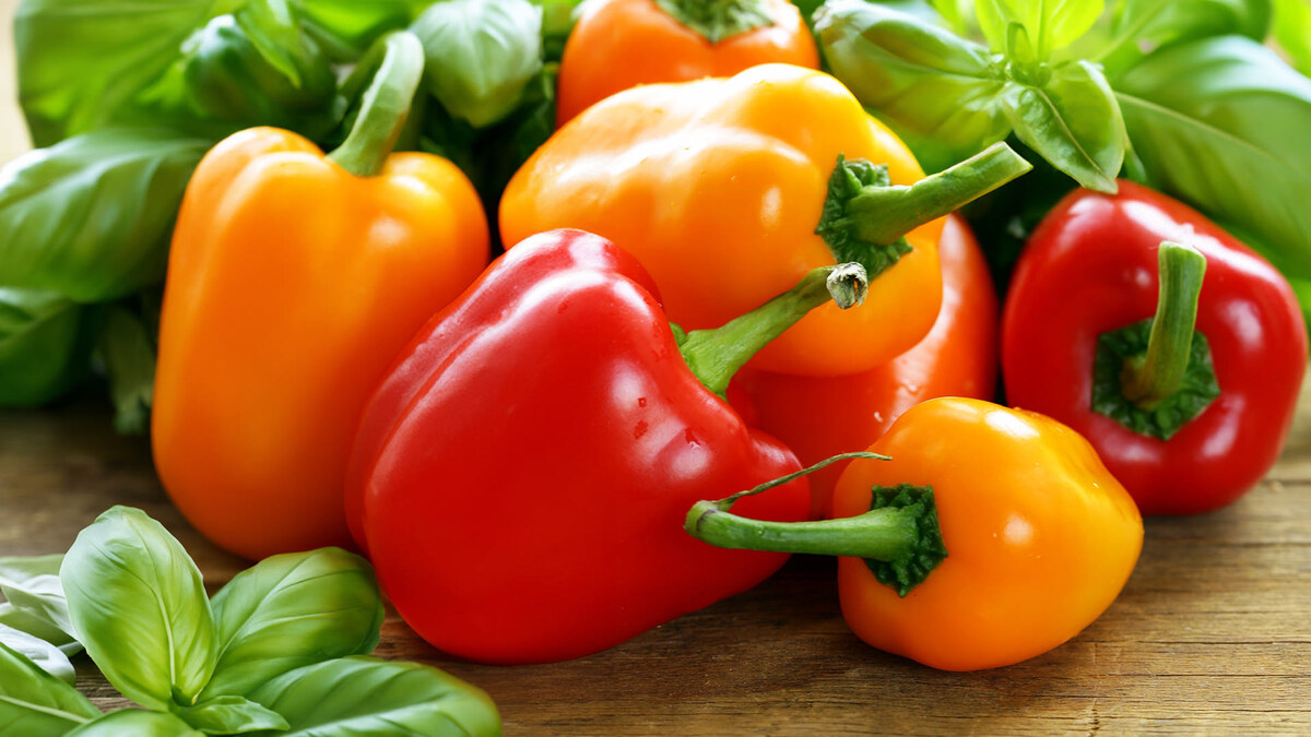 Фото: envato.com