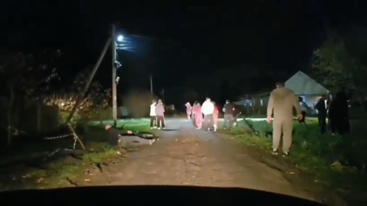    Фото: t.me/ghestkrd