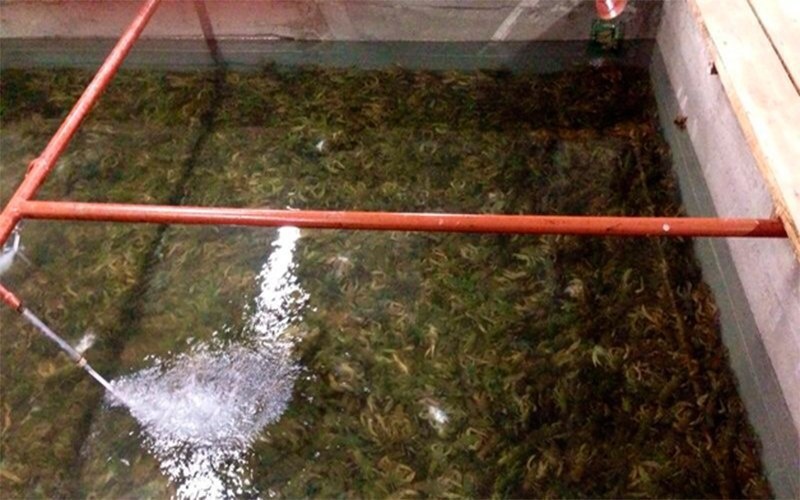 Разработано fotostrana.ru. Источник фото: https://fotostrana.ru/public/post/233942/1322055445/