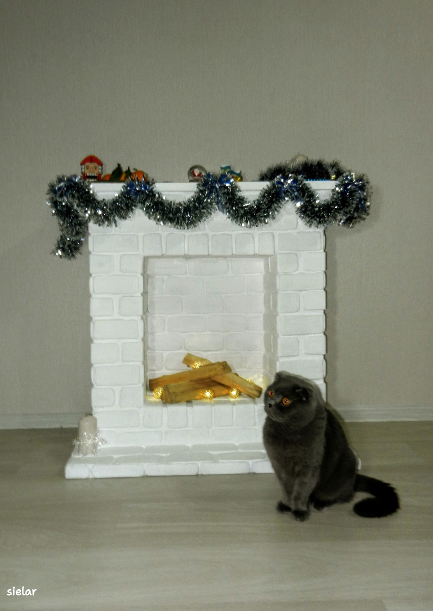 2018 год. Знакомьтесь - это наш кот Степан.