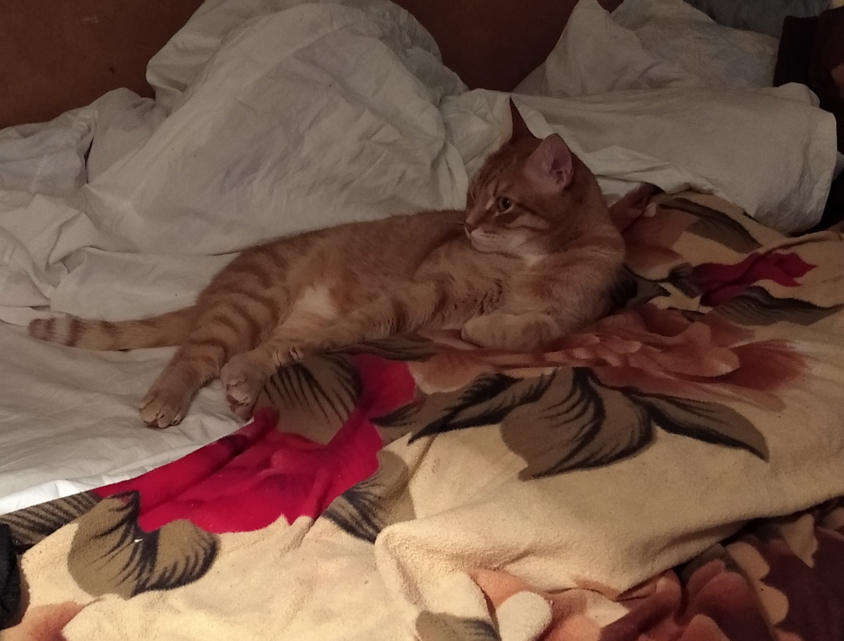 Личное  фото