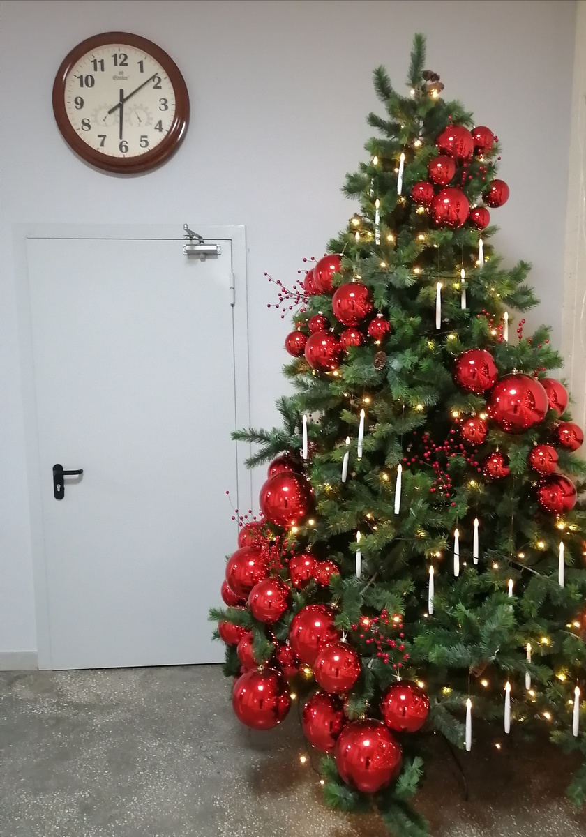 Этот декабрь и наша коридорная елочка