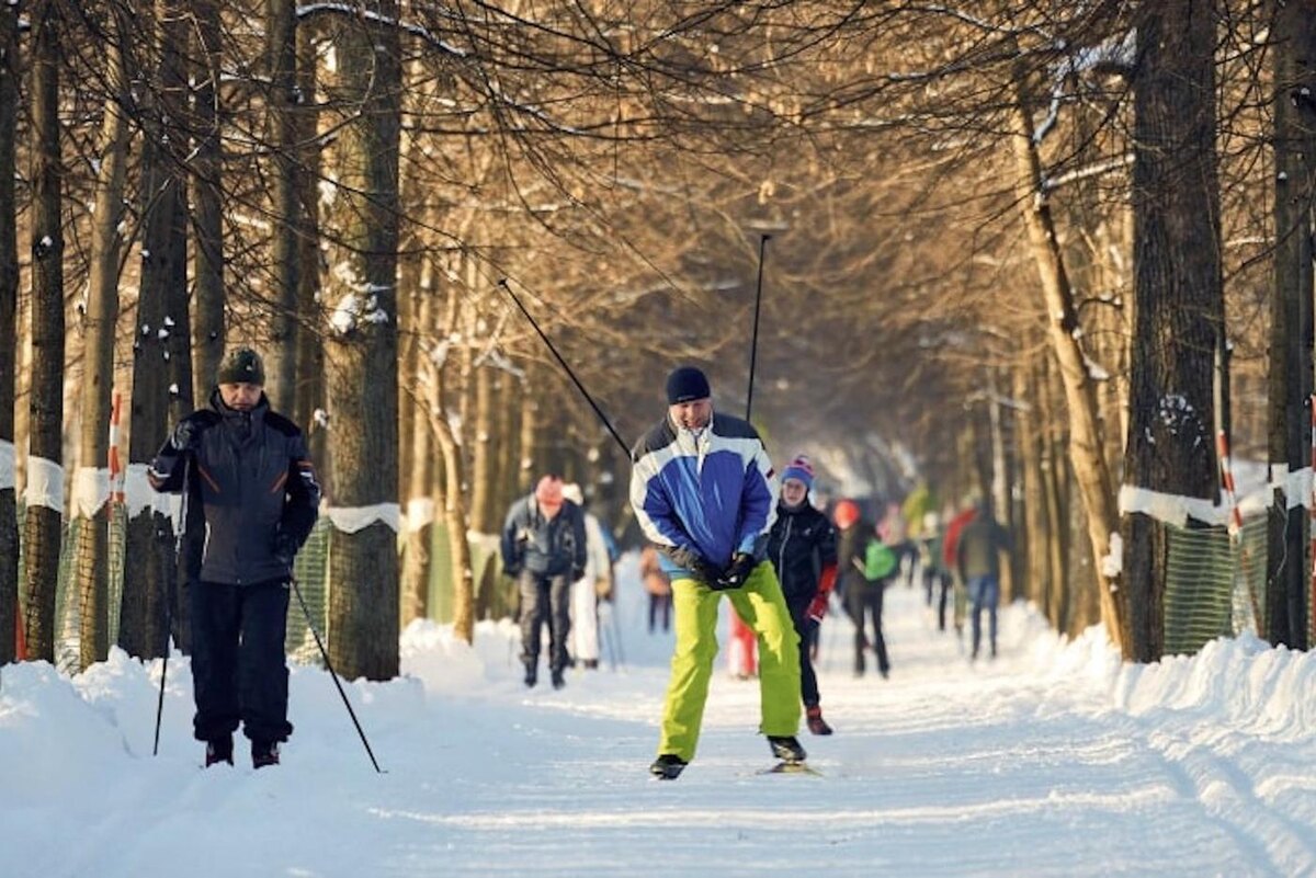film.moscow
Кинопарк "Москино".