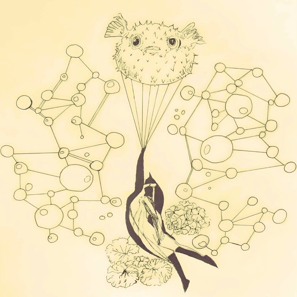 Слишком заумная картинка: некая птица, похожая на стрижа, но с каким-то подобием костыля вместо головы, а не то некоторый болеро средней упитанности в черных ботфортах, выполняющий свое па среди цветов, подвешен на подобии парашюта к морскому ершу в момент опасности, - и всё это на фоне сложно-сочиненной молекулярной решетки в условном схематичном отображении (полагаю что выдуманном), - вот всё это должно сказать а молекулы как за некую абстрактную сентенцию, к которой собственно и обращается дуэт в творческом поиске и стремлении отобразить сложные и труднодоступные грани мироздания, которые вот отчего-то вдруг и/или неспроста - стали им интересны. То есть это могли быть любые грани, названные любым ассоциативным способом. Хотя в целом это прекрасно же )