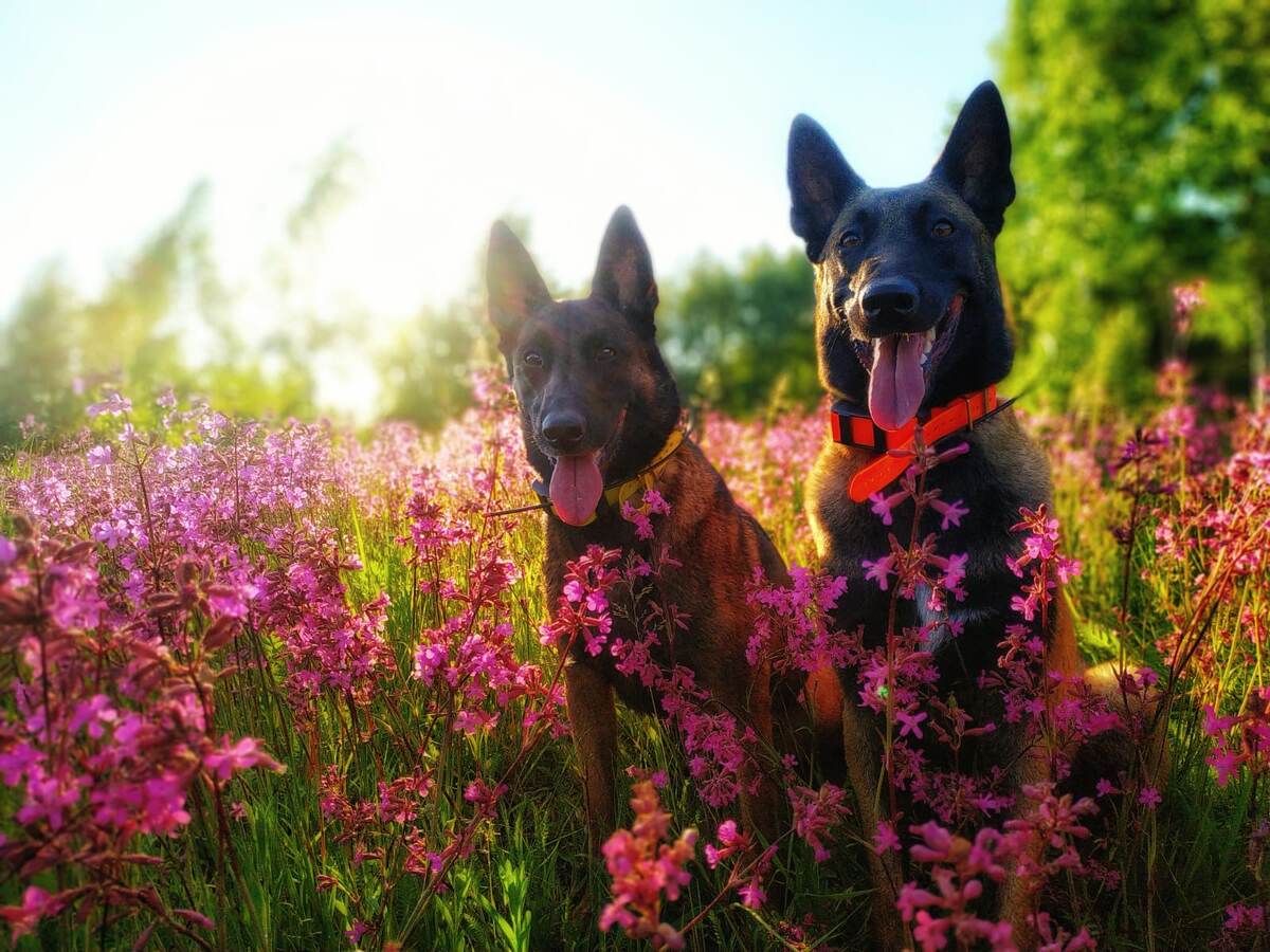 Фото из архива автора