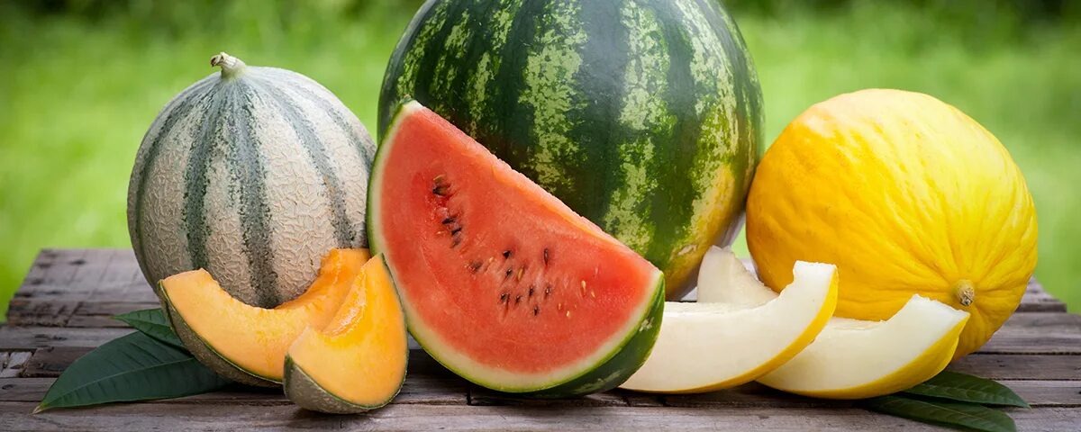 Разработано coffeepapa.ru. Источник фото: https://coffeepapa.ru/recepty/dynya-i-tykva-rodstvenniki