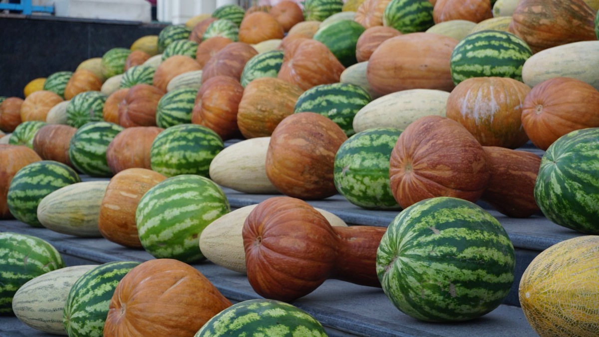 Разработано novyjput.ru. Источник фото: https://novyjput.ru/2023/08/07/o-polze-bahchevyh-kultur/