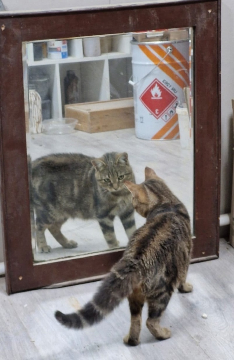 Красота - страшная сила! )))