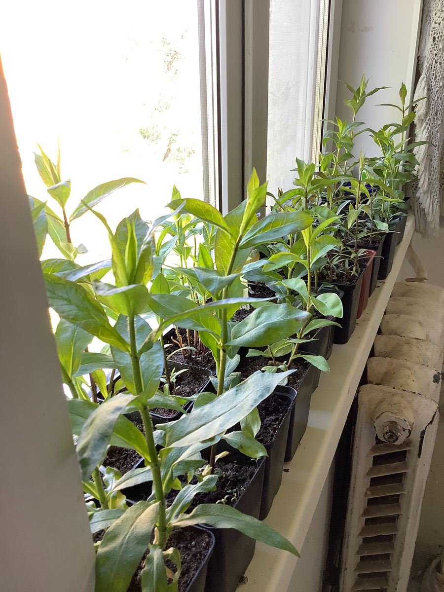 1. В галерее 4 фото, листайте