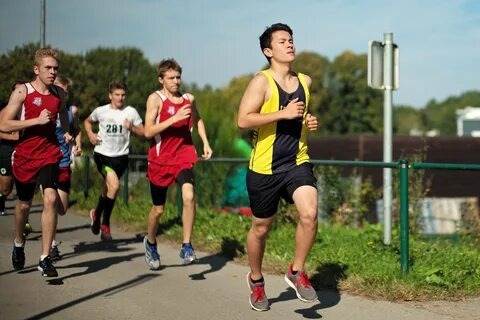 Фото взято из открытых источников.