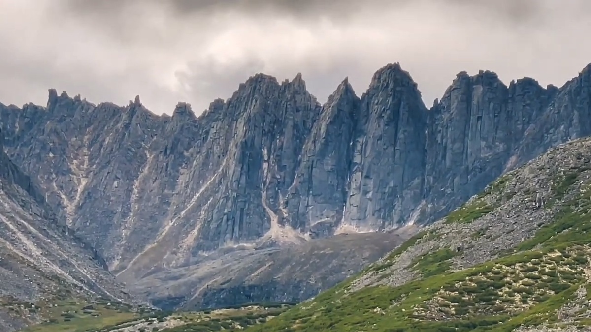 Фото взято из интернета.