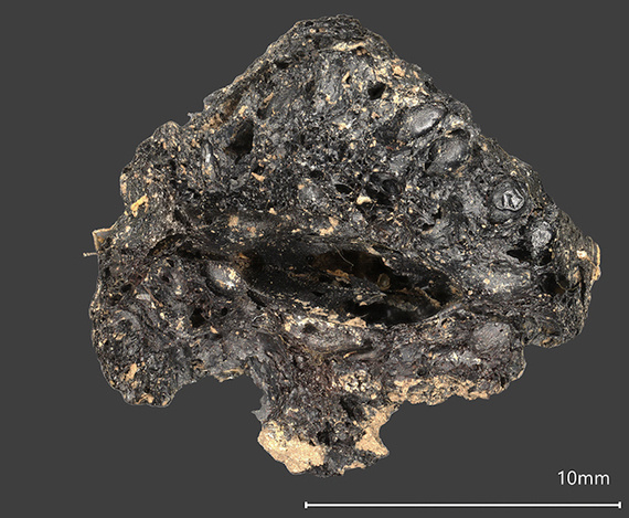 
Обугленный инжир из раскопок в Друманаге. Это изображение было сделано в лаборатории Historic England с использованием 3D-микроскопа Keyence VHX7000, профинансированного AHRC, с увеличением в 30 раз. Фото: Historic England/Университетский колледж Дублина.
