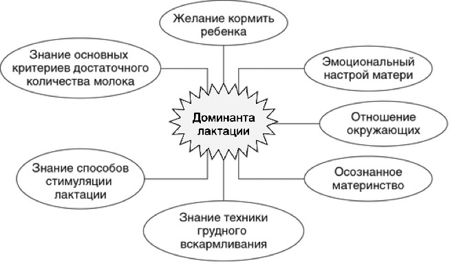 Факторы, влияющие на формирование доминанты ГВ