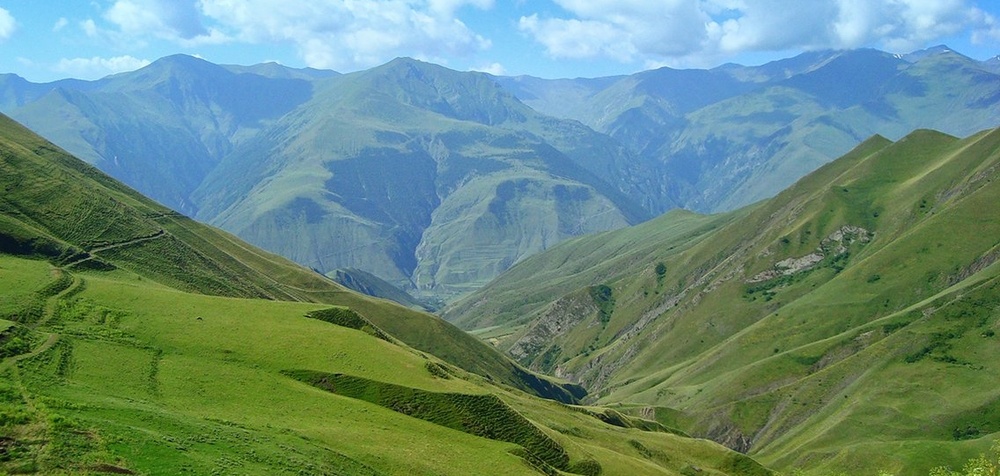 Основные медоносные растения Нагорного Дагестана и их нектаропродуктивность