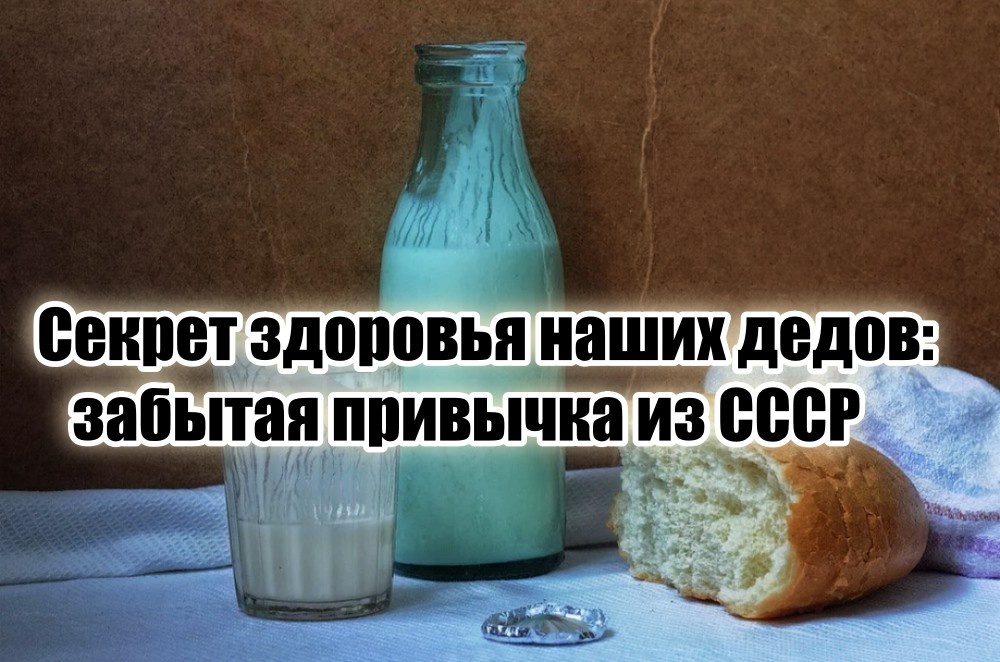 Почему-то многие забыли об этой полезной привычке, хотя прививали нам ее с детства.
