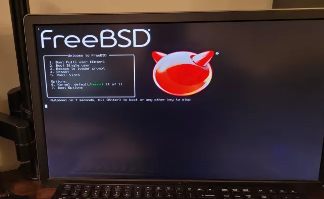 FreeBSD 14.2: Новый релиз с улучшениями для платформ и виртуальных сред