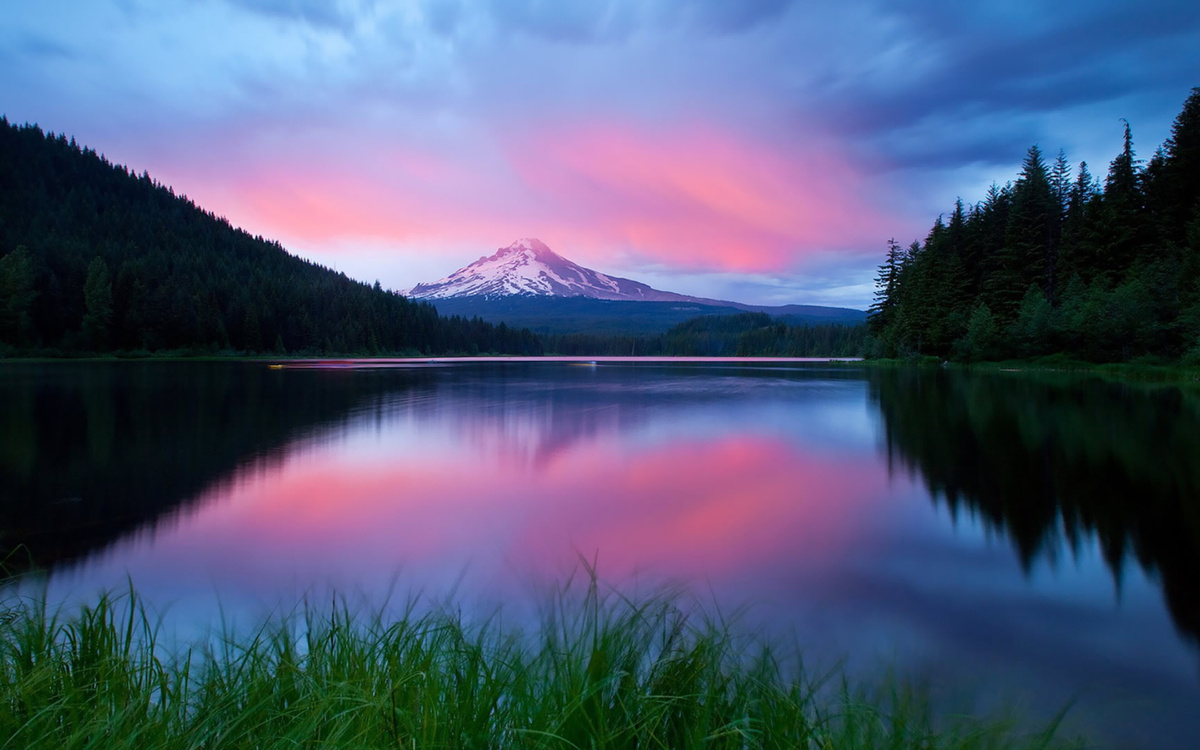 Фото взято из интернета.