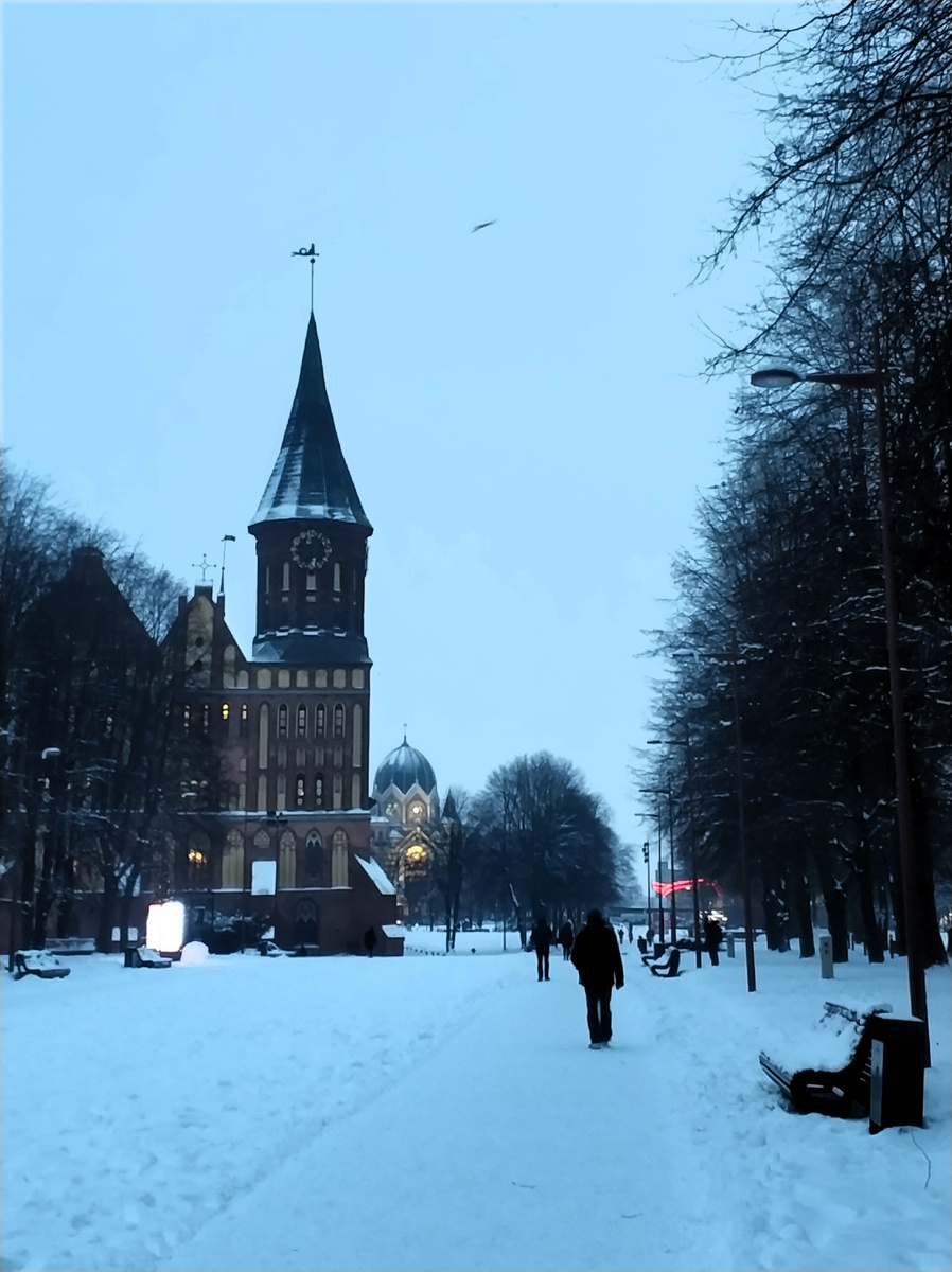 Зима в Калининграде. Январь 2021 года