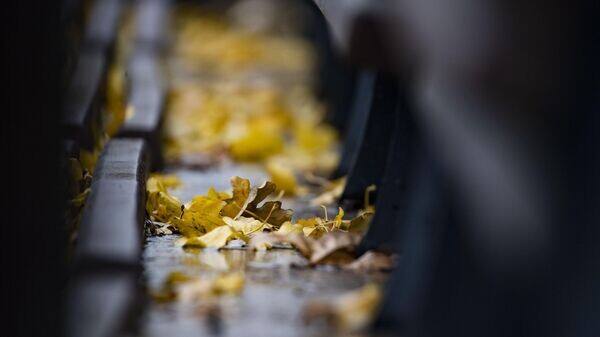    © РИА Новости Крым . Дмитрий Макеев