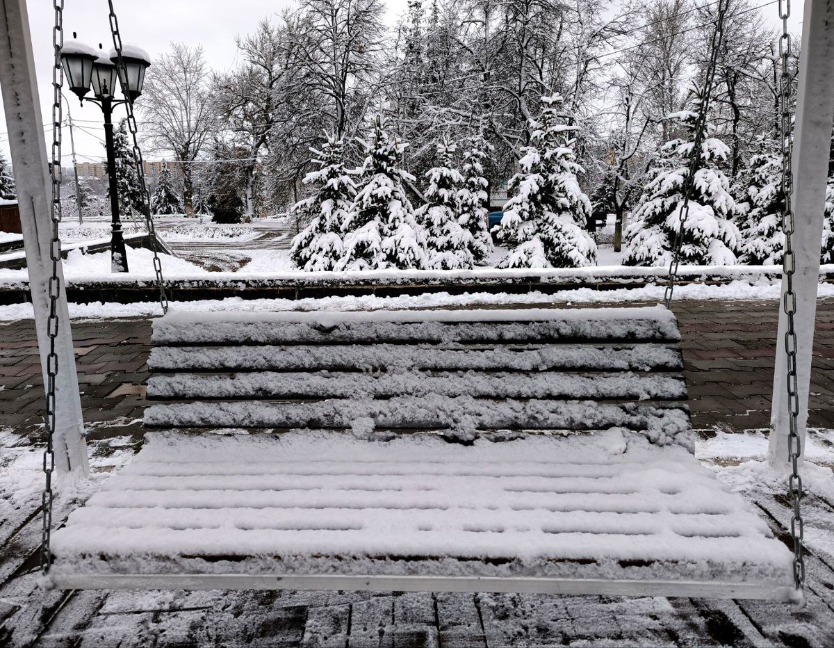 На фото - ёлки. Как раз в тему.